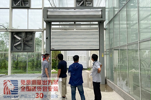 智能化温室硬质快速卷帘门 智能化温室硬质快速卷帘门