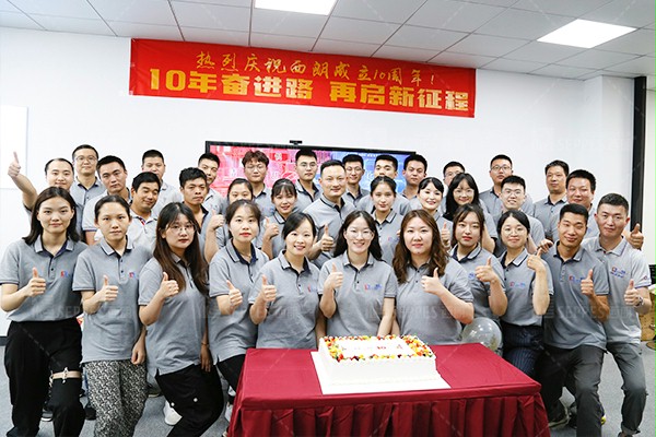 成人向日葵视频下载安装10周年